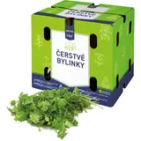 METRO Chef Koriandr čerstvý 1 kg