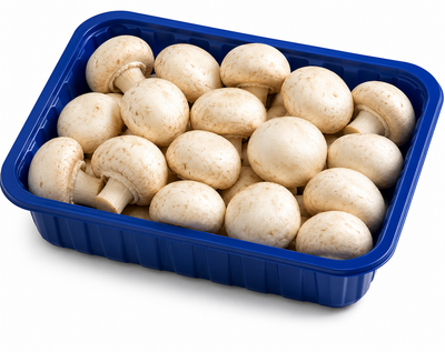 Žampiony bílé, vanička
