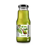 true tea Matcha 12 x 300 ml