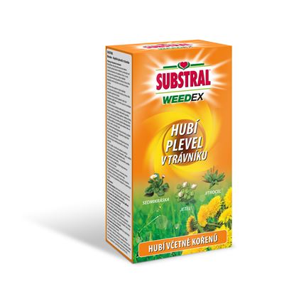 Plevel v trávníku Substral Weedex koncentrát 250ml 1 ks