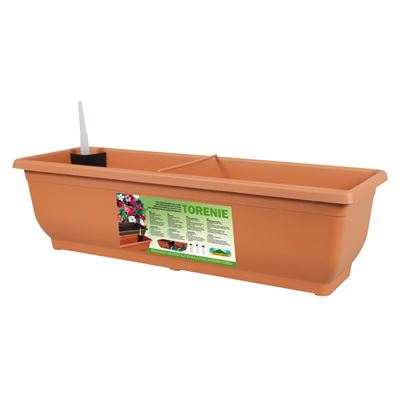 NOHEL-GARDEN Truhlík samozavlažovací Torenie 50 cm 1 ks
