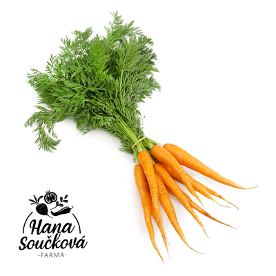 Farma Hana Součková Mrkev s natí 450g