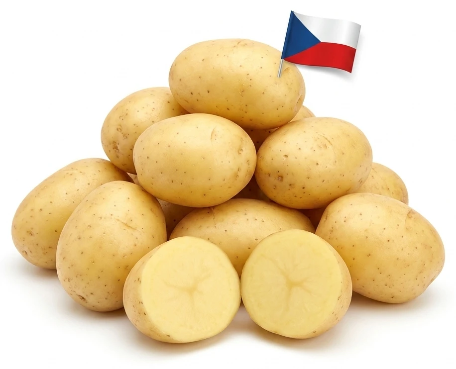 Brambory konzumní rané