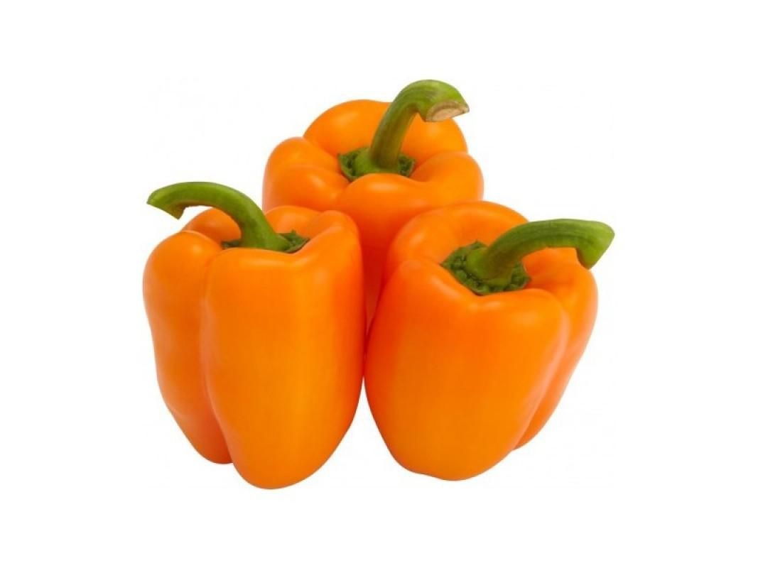 Paprika oranžová