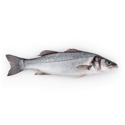 METRO Chef Mořský vlk kuchaný chlaz. váž. cca 330 - 500 g