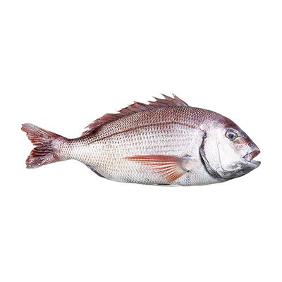 METRO Chef Pražma kuchaná chlaz. váž. cca 250 - 330 g
