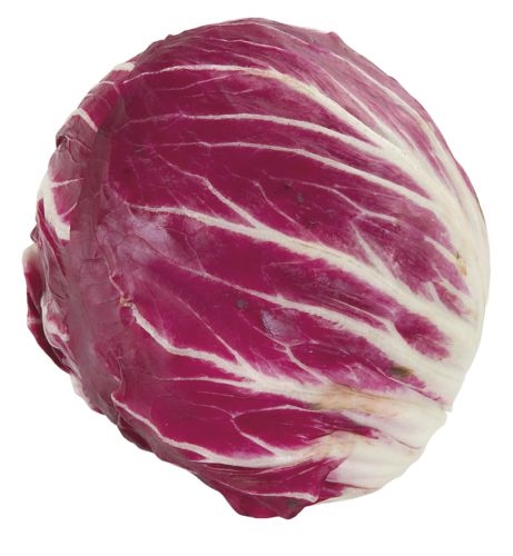 Čekanka červená 400g