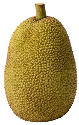 Jackfruit čerstvý