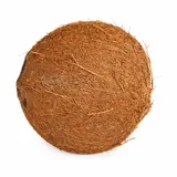 Kokosový ořech