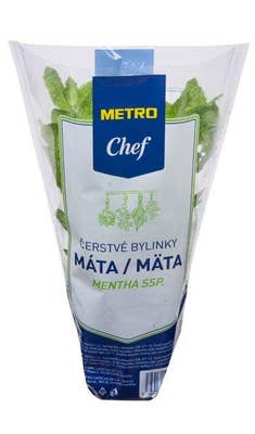 Metro Chef Máta "spicata", kelímek