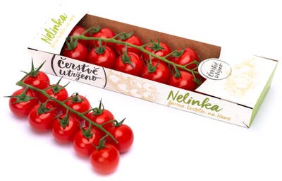Čerstvě utrženo Rajčata cherry červená kulatá na stonku "Nelinka", balení