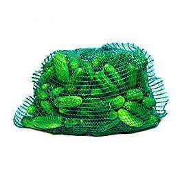 Okurky nakladačky 7/10 cm CZ čerstvé 10 kg
