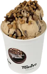 Tomivo Gelato Lískooříškové praline zmrzlina