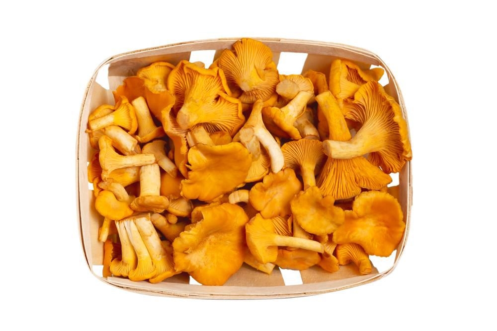 Liška obecná čerstvá balená 150g