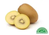 BIO Kiwi žluté (cca 110 g)