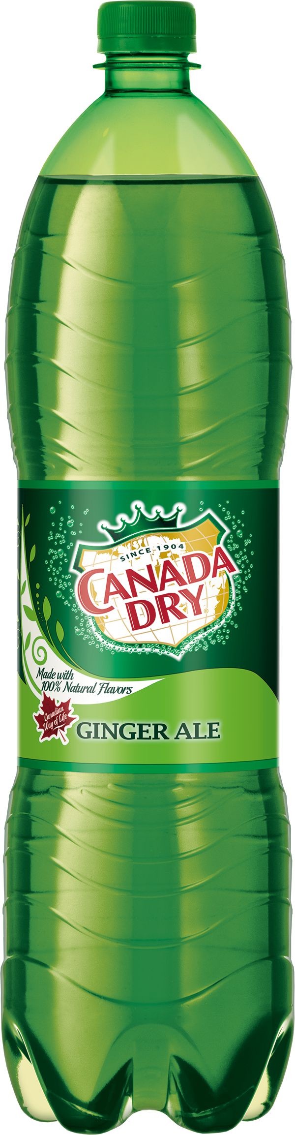 Canada Dry 1,5l PET