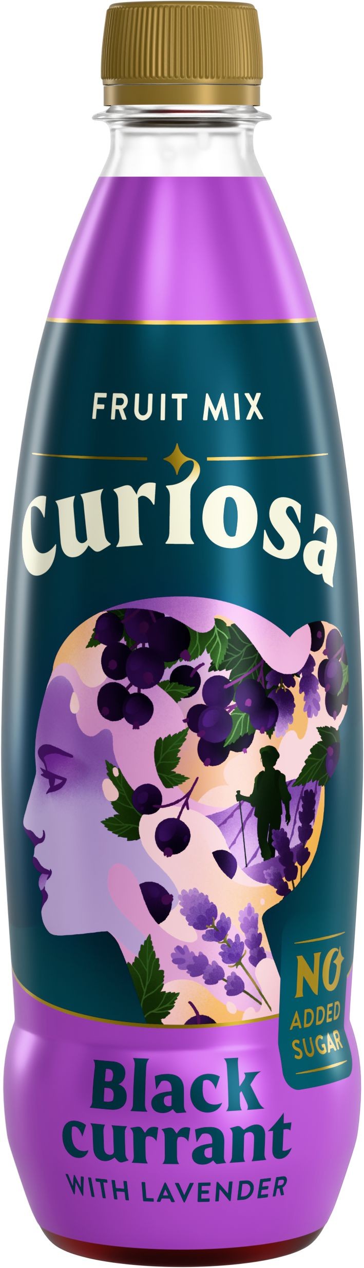 Curiosa černý rybíz s levandulí 0,5l