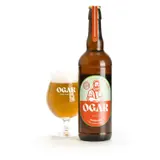 Pivo Ogar Mango gose 11
