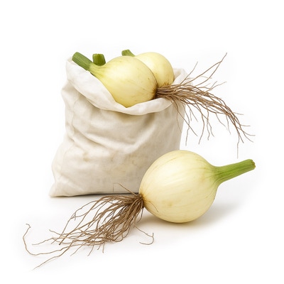 Farma Hana Součková Cibule kuchyňská, balení 1kg