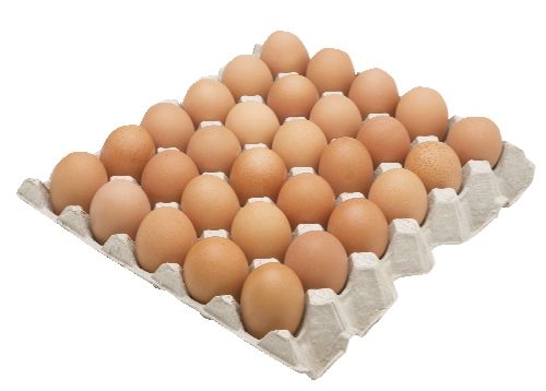 Vejce S 30 kusů podestýlková