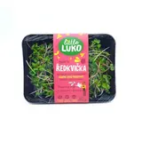 Little Luko Výhonky Ředkvička růžová čerstvé