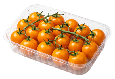 Rajčata Cherry oranžová keříková, vanička