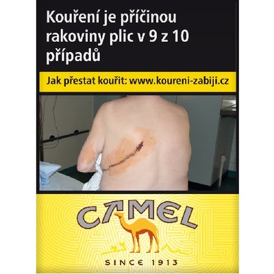 Camel Yellow Shorts