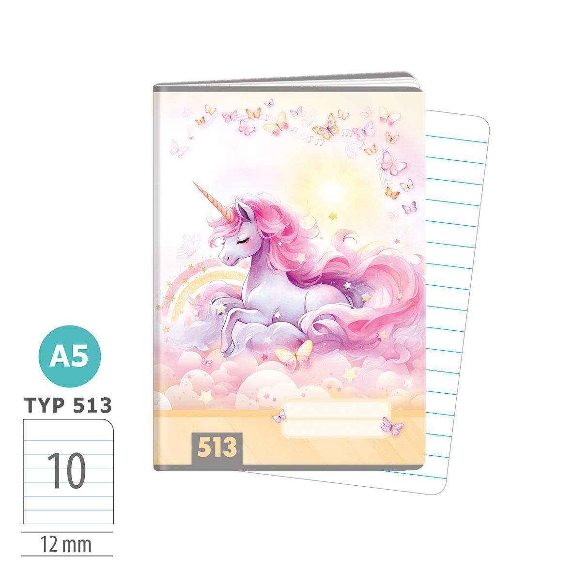 Argus 1594-0427 Sešit A5, 10 listů, TYP 513
