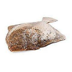 *KAMBALA VELKÁ KUCHANÁ 3-4kg W6
