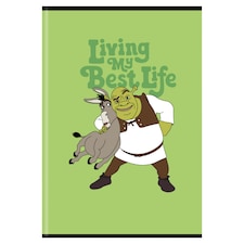 Shrek školní sešit A4 444 linkovaný