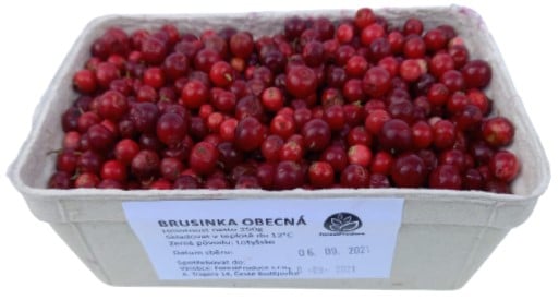 Brusinky čerstvé - lesní, vanička
