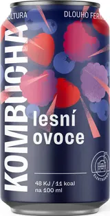 Elektrárna Kombucha Lesní ovoce