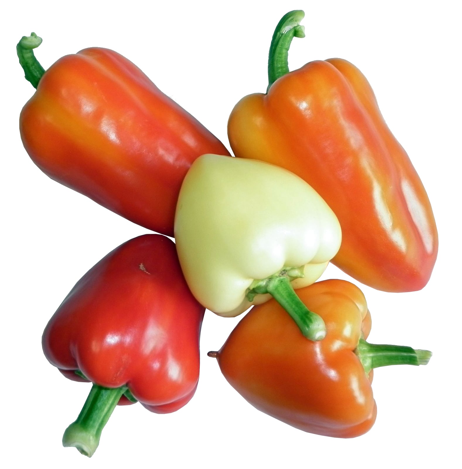 Paprika Somborka – mírně pálivá, volně