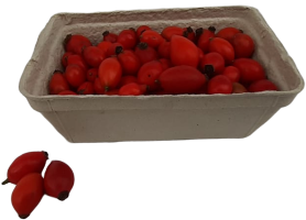 Šípek čerstvý, vanička
