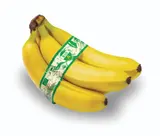 BIO Banány balené (cca 6ks)