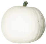 Dýně bílá odr. White pearl