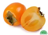 BIO kaki