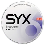 SYX Blueberry Mini