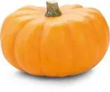 Dýně Halloween CZ čerstvá váž. cca 2 kg+