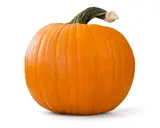 Tykev (dýně) Halloween