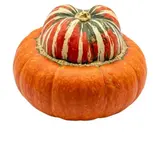 Dýně turecký turban