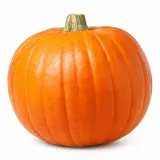 Dýně mexická