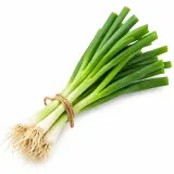 Cibule lahůdková
