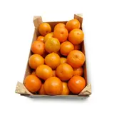 Mandarinky - (odr. Pitufo), bedýnka