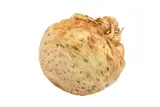 Celer bulvový praný, 1 ks